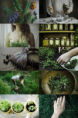 /album/galerie-photos/254115780-584536582757247-2159598041619370884-n-png/